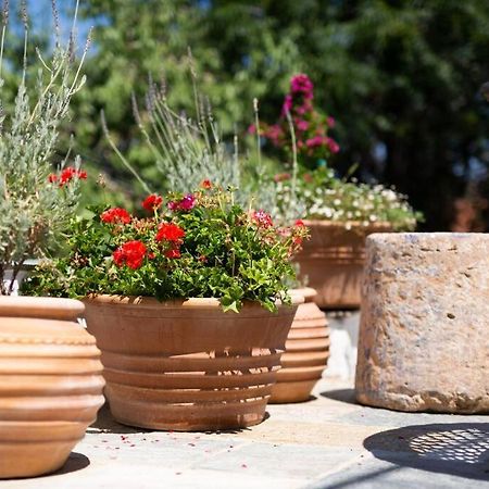 Nefeli Villa هيدرا المظهر الخارجي الصورة