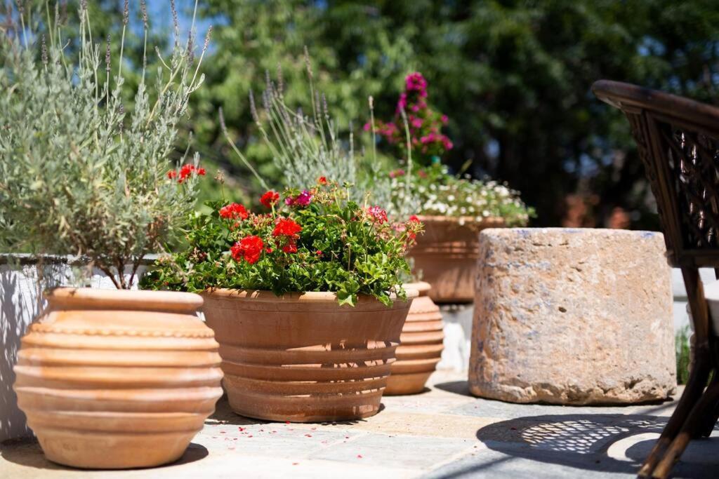 Nefeli Villa هيدرا المظهر الخارجي الصورة